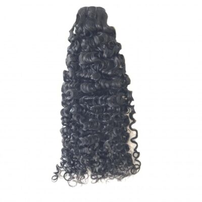 Burmese Curly